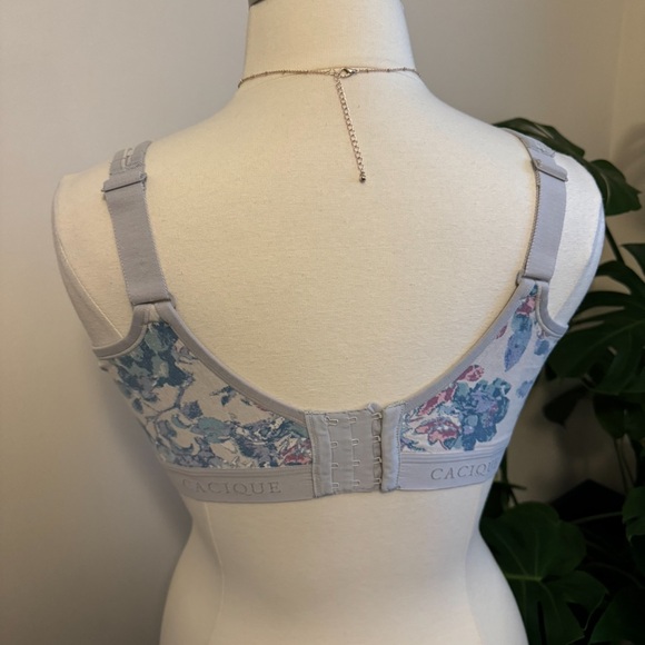 Lane Bryant Bra - Picture 7 of 12